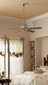 Ceiling-Fans Types