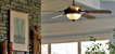 Ceiling Fans