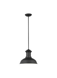 One Light Outdoor Pendant